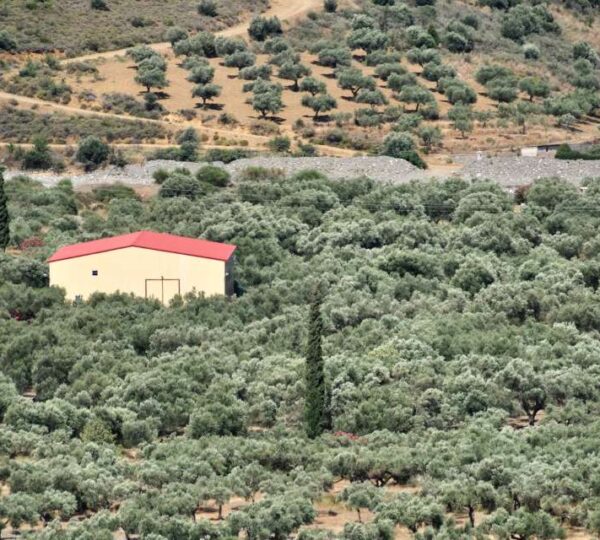 Άσπιλον