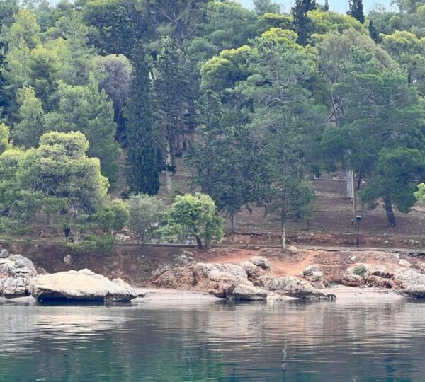 Seamore Pension στο Γαλαξίδι-Διαμονή με άνεση και θέα στη Φωκίδα