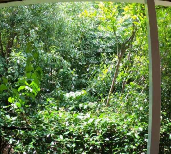 Seamore Pension στο Γαλαξίδι-Διαμονή με άνεση και θέα στη Φωκίδα