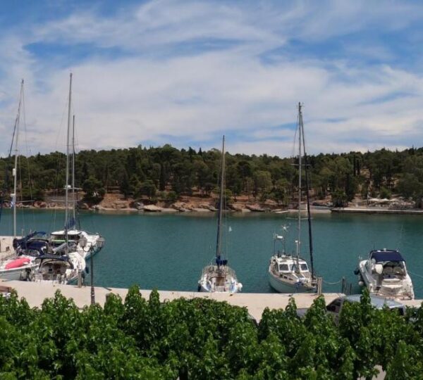 Seamore Pension στο Γαλαξίδι-Διαμονή με άνεση και θέα στη Φωκίδα